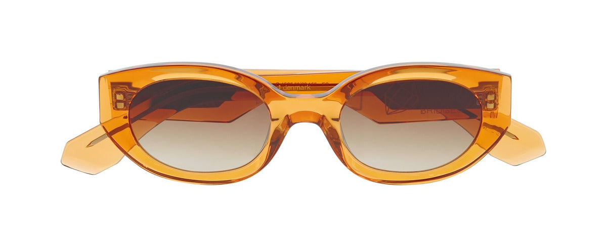 Gafas de Sol Prodesign Steam 4525 50 22