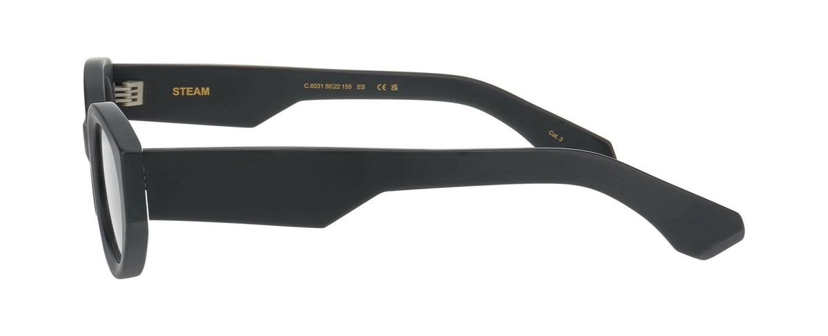 Sunglasses Prodesign Steam 6031 50 22