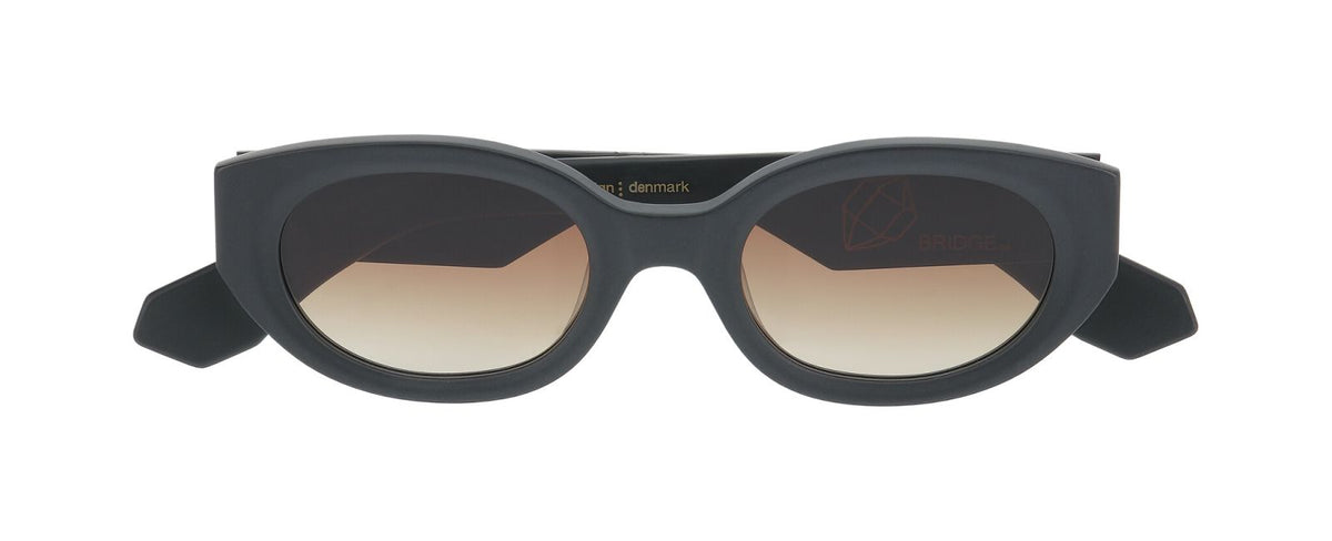 Sunglasses Prodesign Steam 6031 50 22