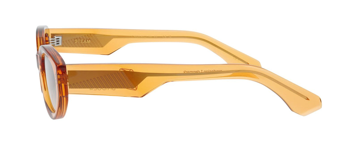 Gafas de Sol Prodesign Steam 4525 50 22