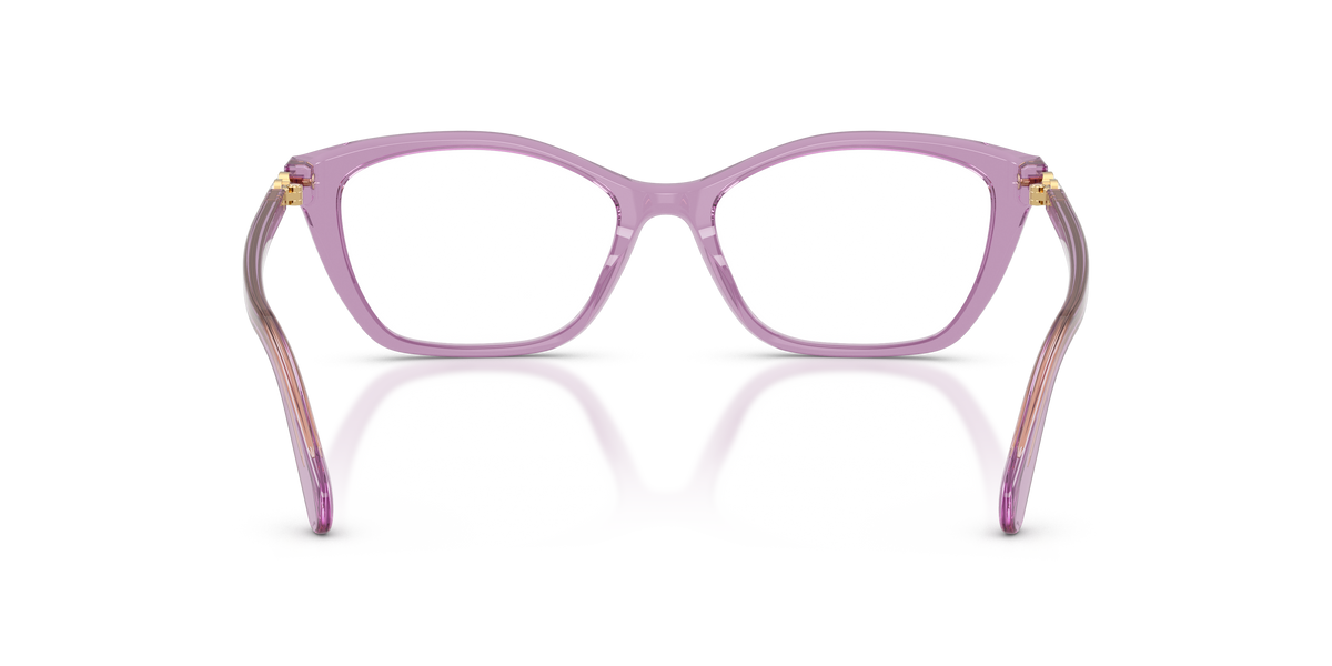 Gafas Graduadas Swarovski SK2065 1096 52 / 54 17