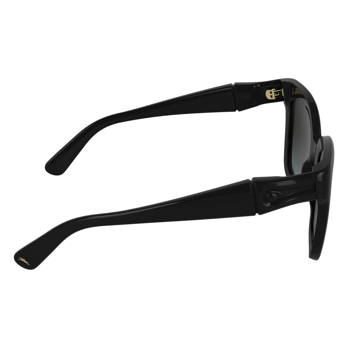 Gafas de Sol Longchamp LO793S 001 53 23