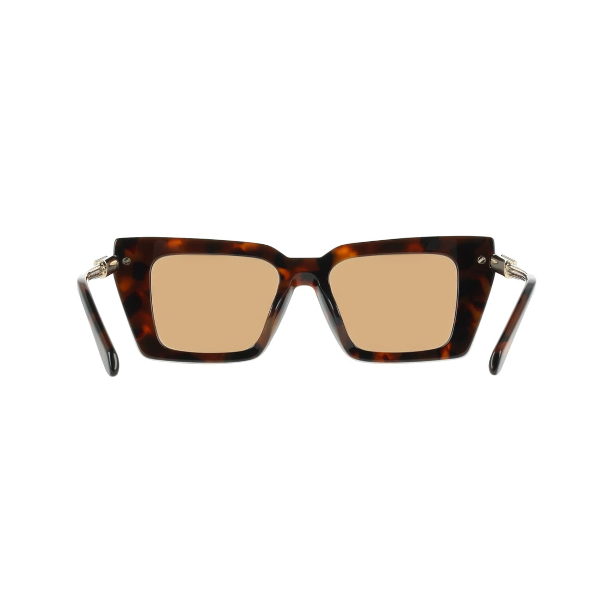 Gafas de Sol Ferragamo SF2089S 240 52 18
