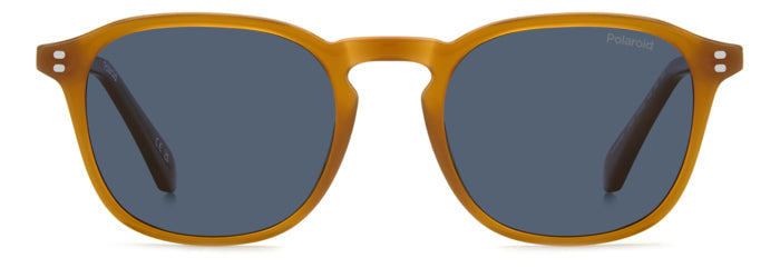 Sunglasses Polaroid PLD 4203/S/X L7QC3 51 20