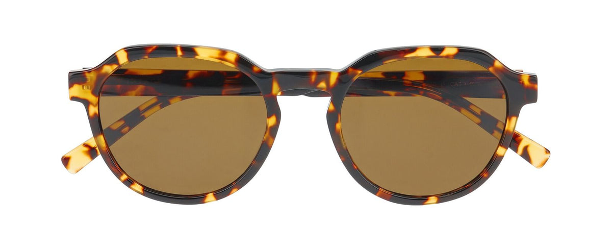 Gafas de Sol Inface Favorite 5434 54 21