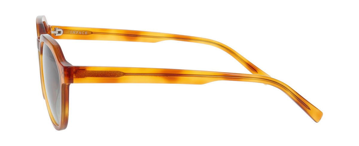 Sunglasses Inface Favorite 5512 54 21