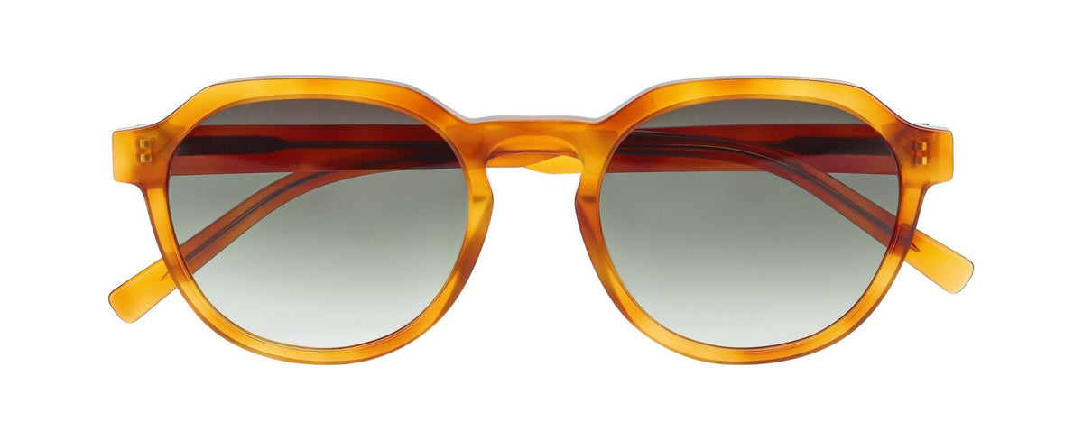 Sunglasses Inface Favorite 5512 54 21