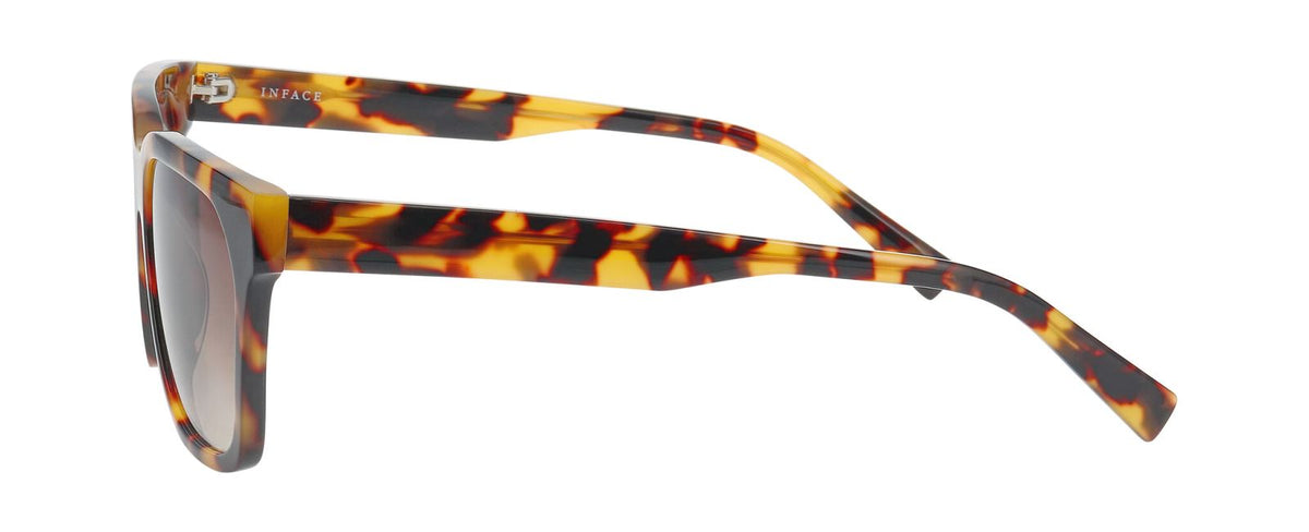 Gafas de Sol Inface Classy 5534 53 18