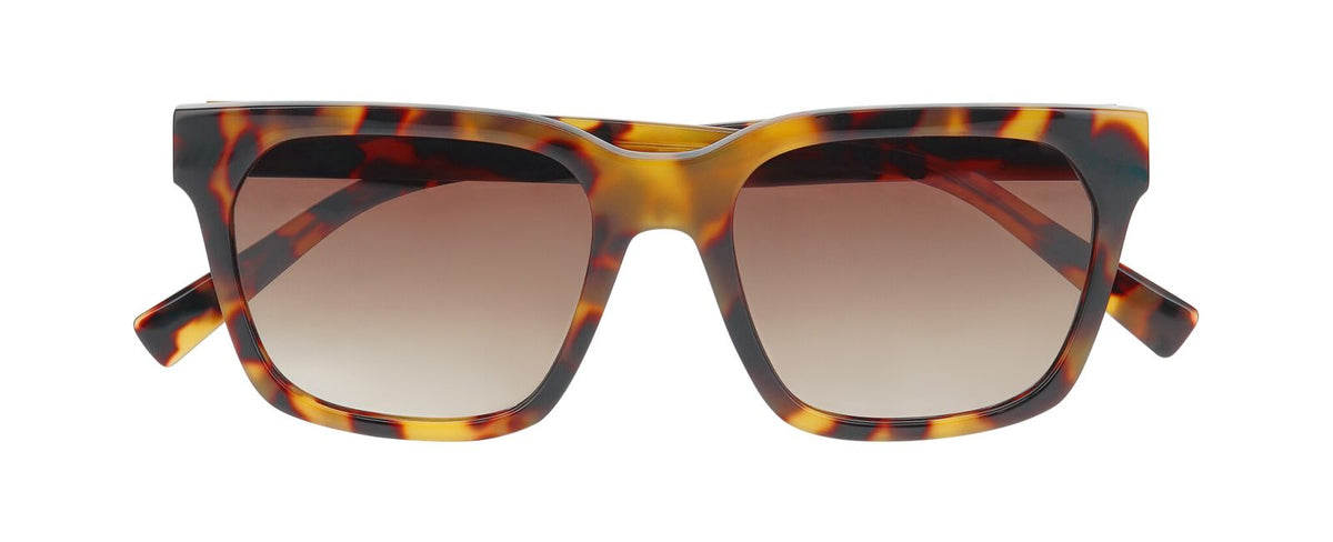 Gafas de Sol Inface Classy 5534 53 18