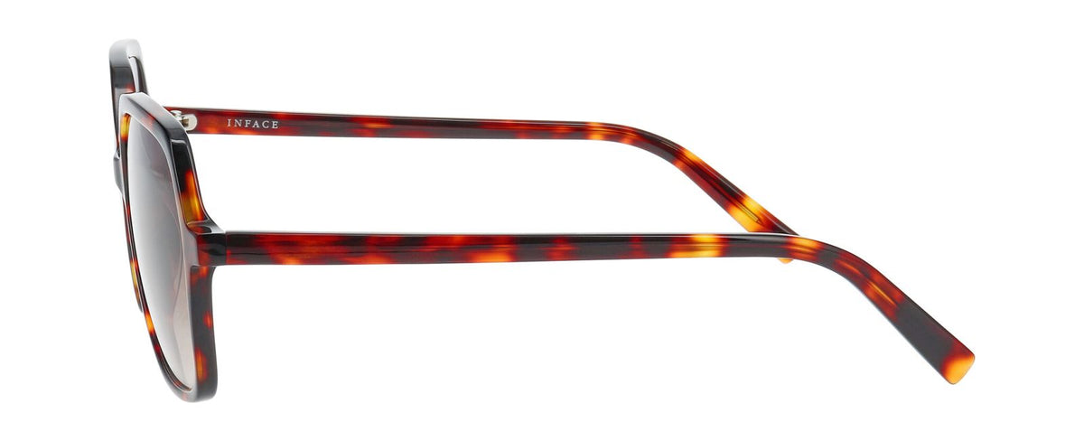 Gafas de Sol Inface Charisma 5524 55 15