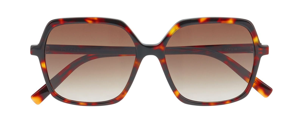 Gafas de Sol Inface Charisma 5524 55 15
