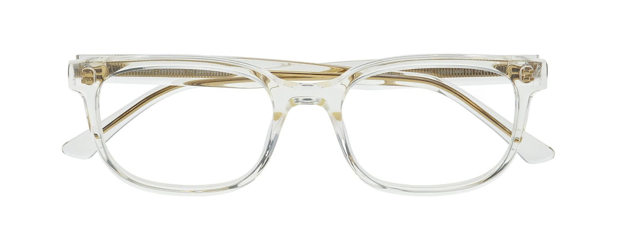 Gafas Graduadas Prodesign Core 2 1515 53 19 Con plaquetas