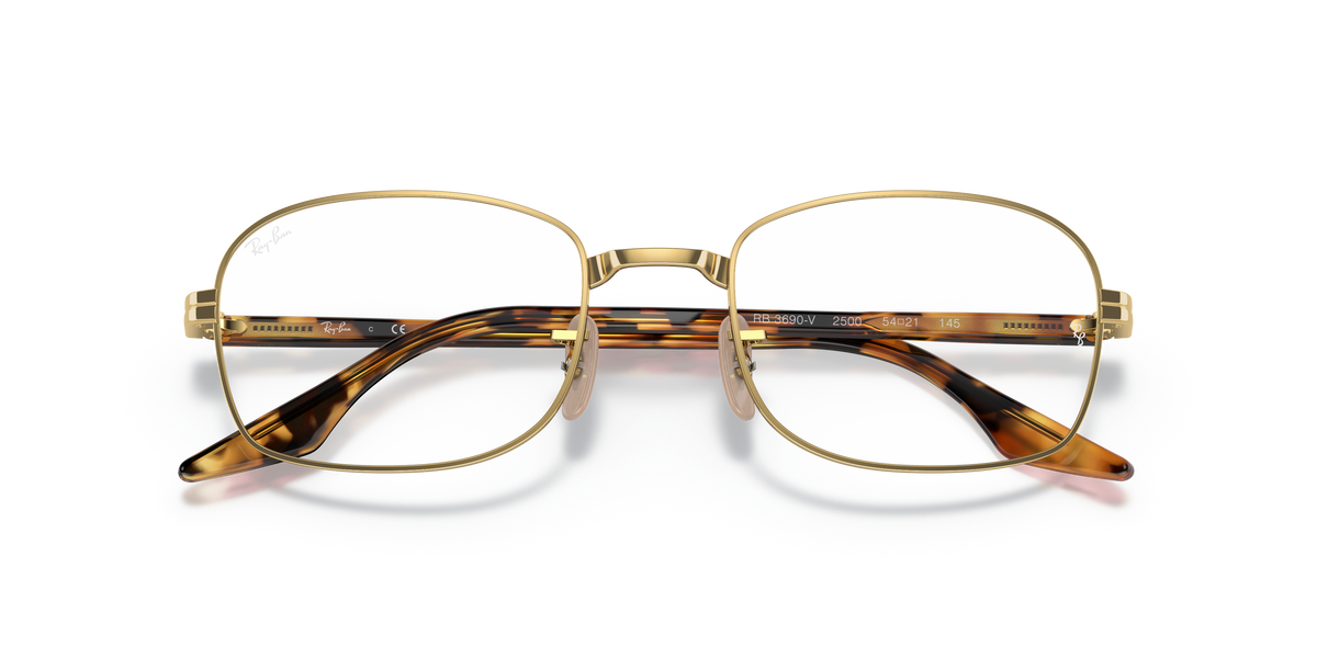 Prescription Glasses Ray-Ban RX3690V 2500 53 21