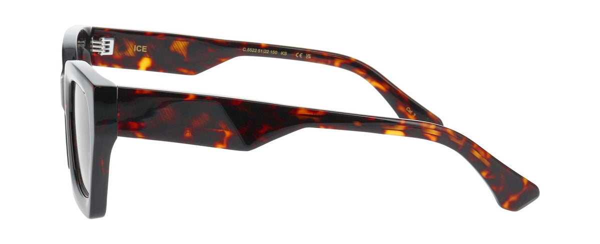 Gafas de Sol Prodesign Ice 5522 51 22