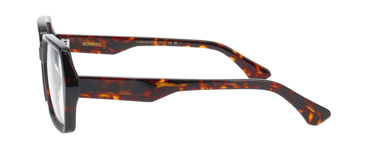 Prescription Glasses Prodesign Sorrel 5522 55 19