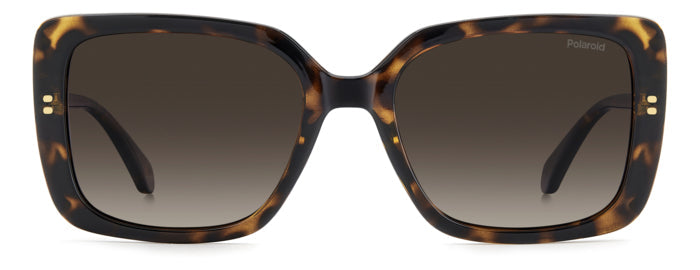 Gafas de Sol Polaroid PLD 4199/S/X 086LA 55 19