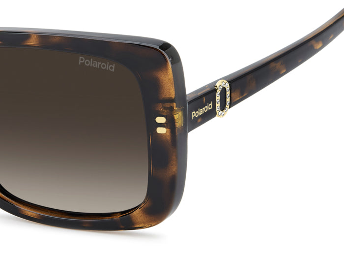 Gafas de Sol Polaroid PLD 4199/S/X 086LA 55 19