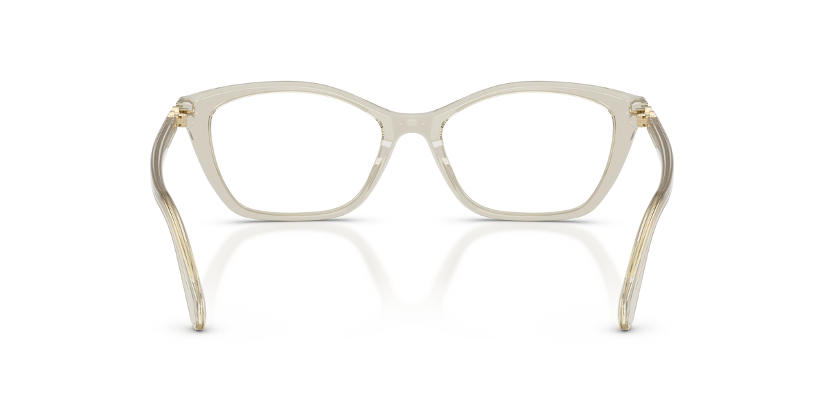 Gafas Graduadas Swarovski SK2065 3003 52 / 54 17