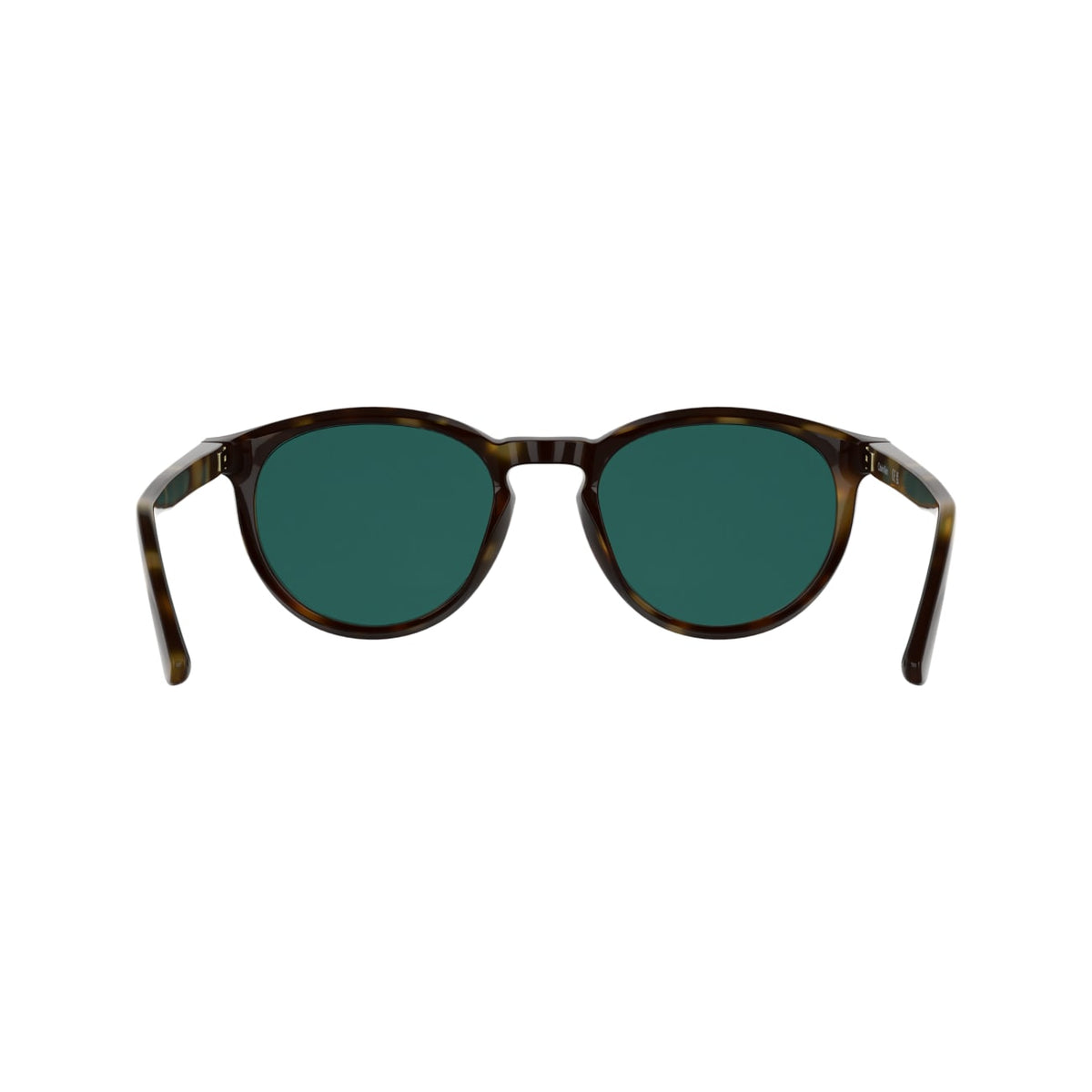 Gafas de Sol Calvin Klein (Ck) CK26503S 240 53 21