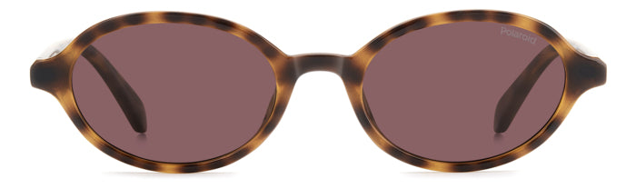 Gafas de Sol Polaroid PLD 4220/S 086KL 51 19
