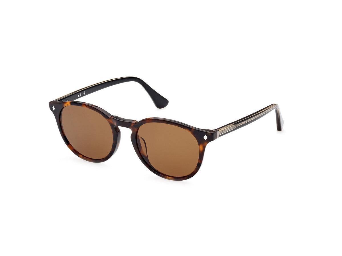 Sunglasses Web WE328 56N 50 19