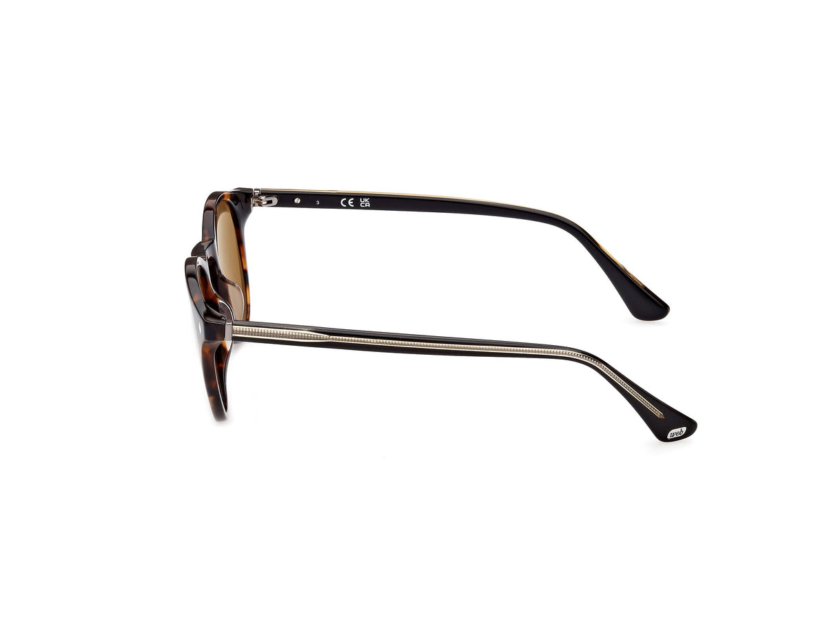 Sunglasses Web WE328 56N 50 19