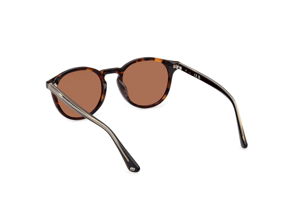 Gafas de Sol Web WE328 56N 50 19