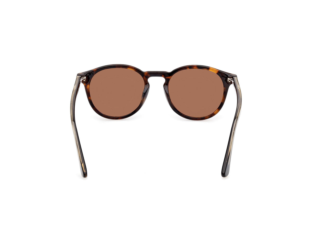 Gafas de Sol Web WE328 56N 50 19