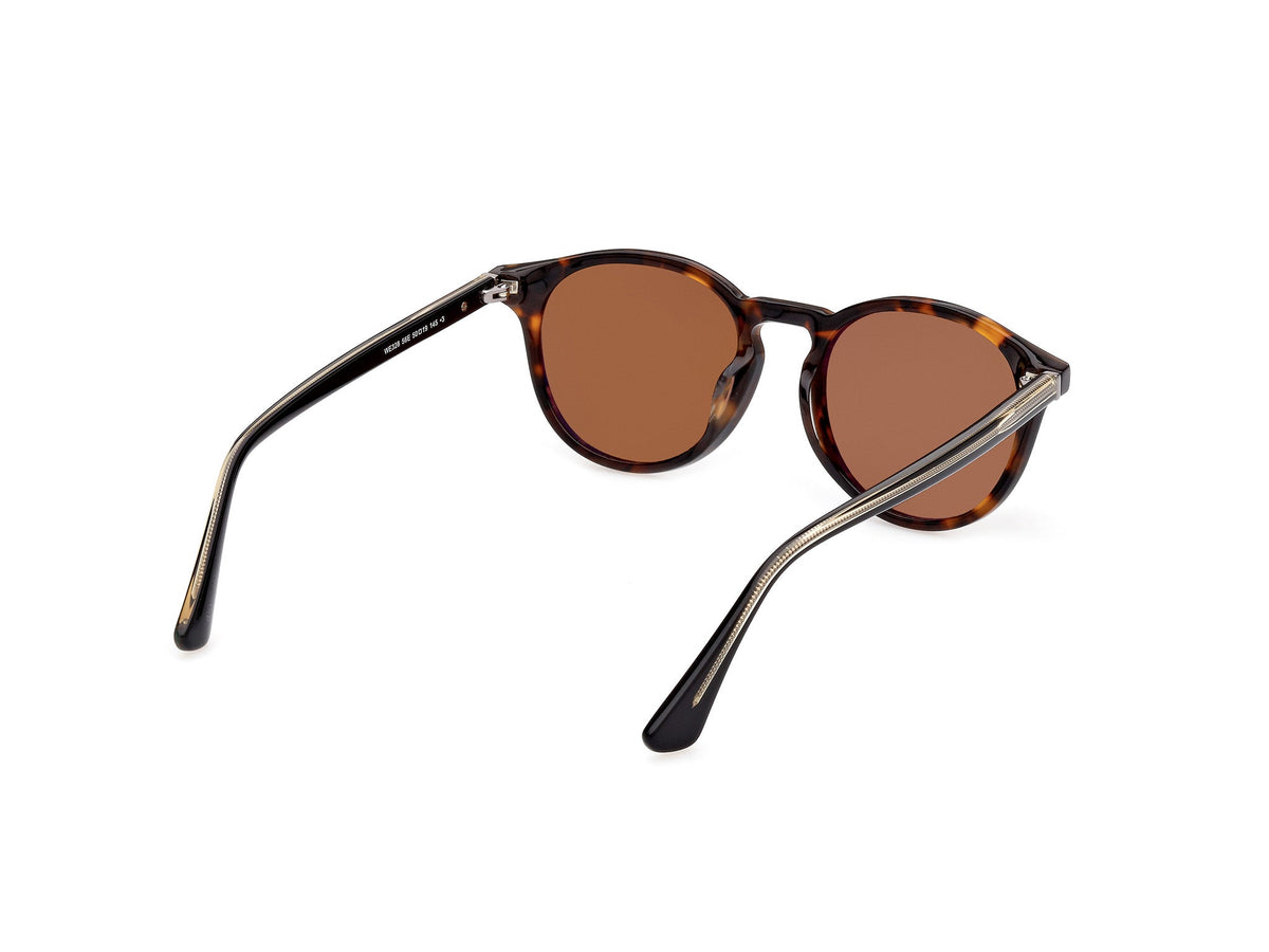 Gafas de Sol Web WE328 56N 50 19