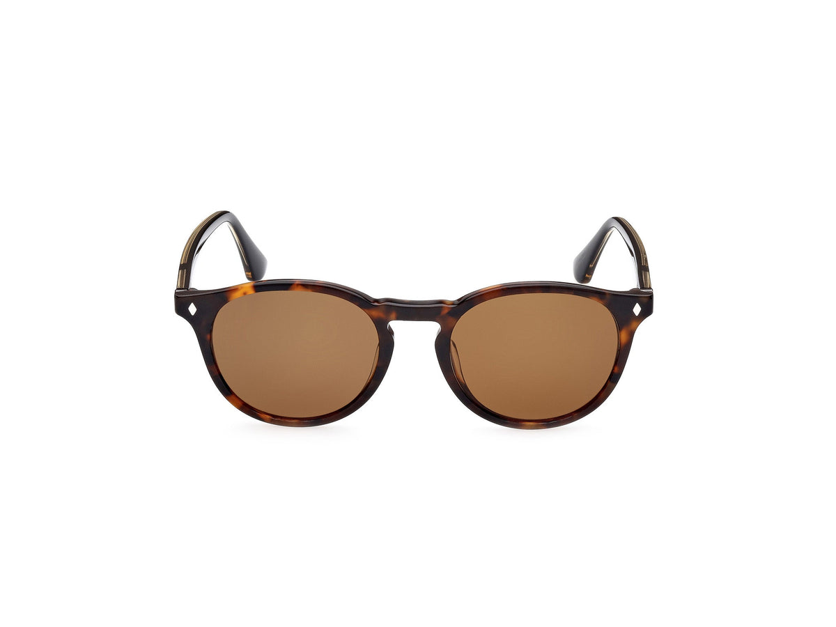 Gafas de Sol Web WE328 56N 50 19