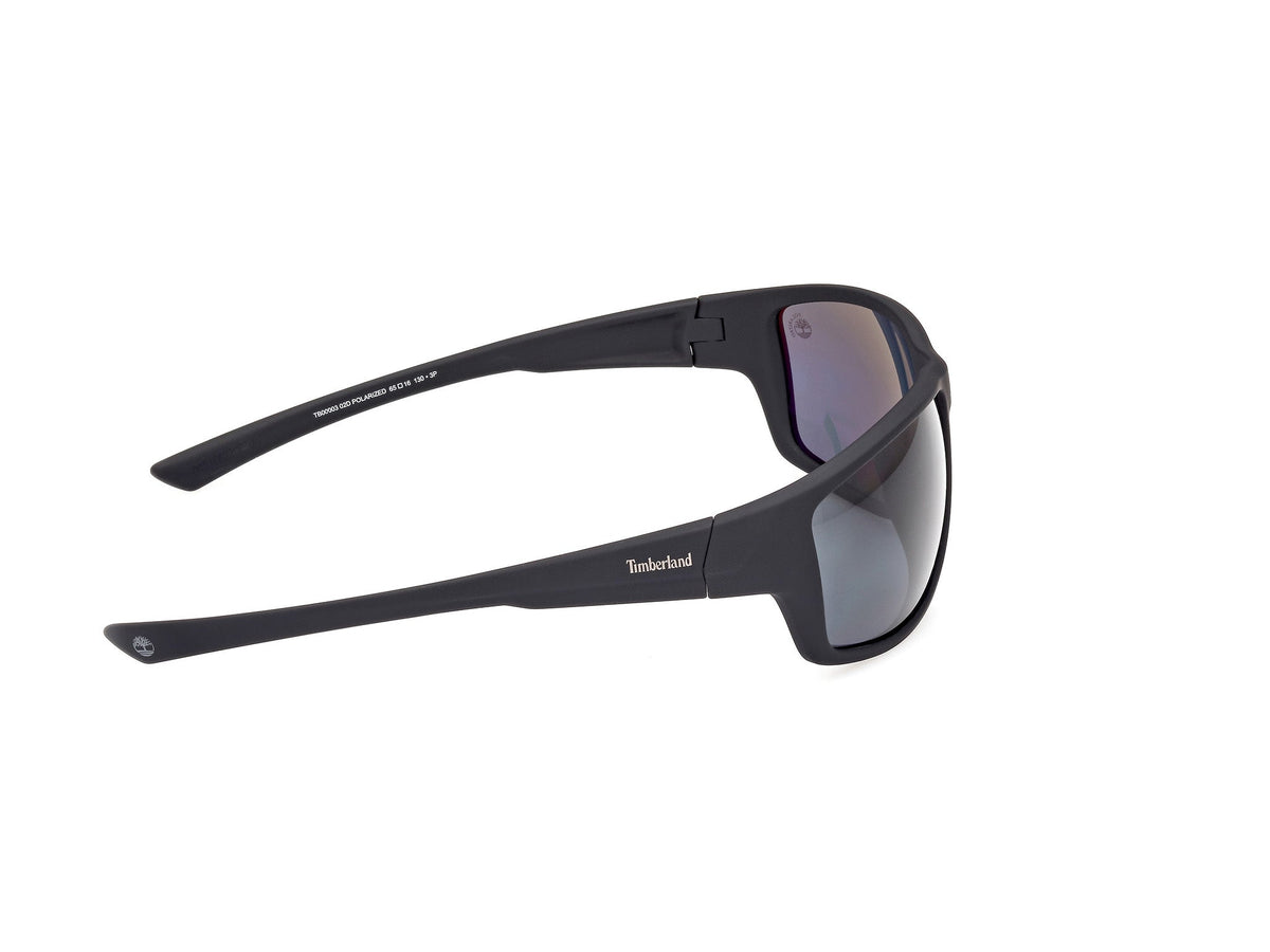 Sunglasses Timberland TB3 02D 65 16