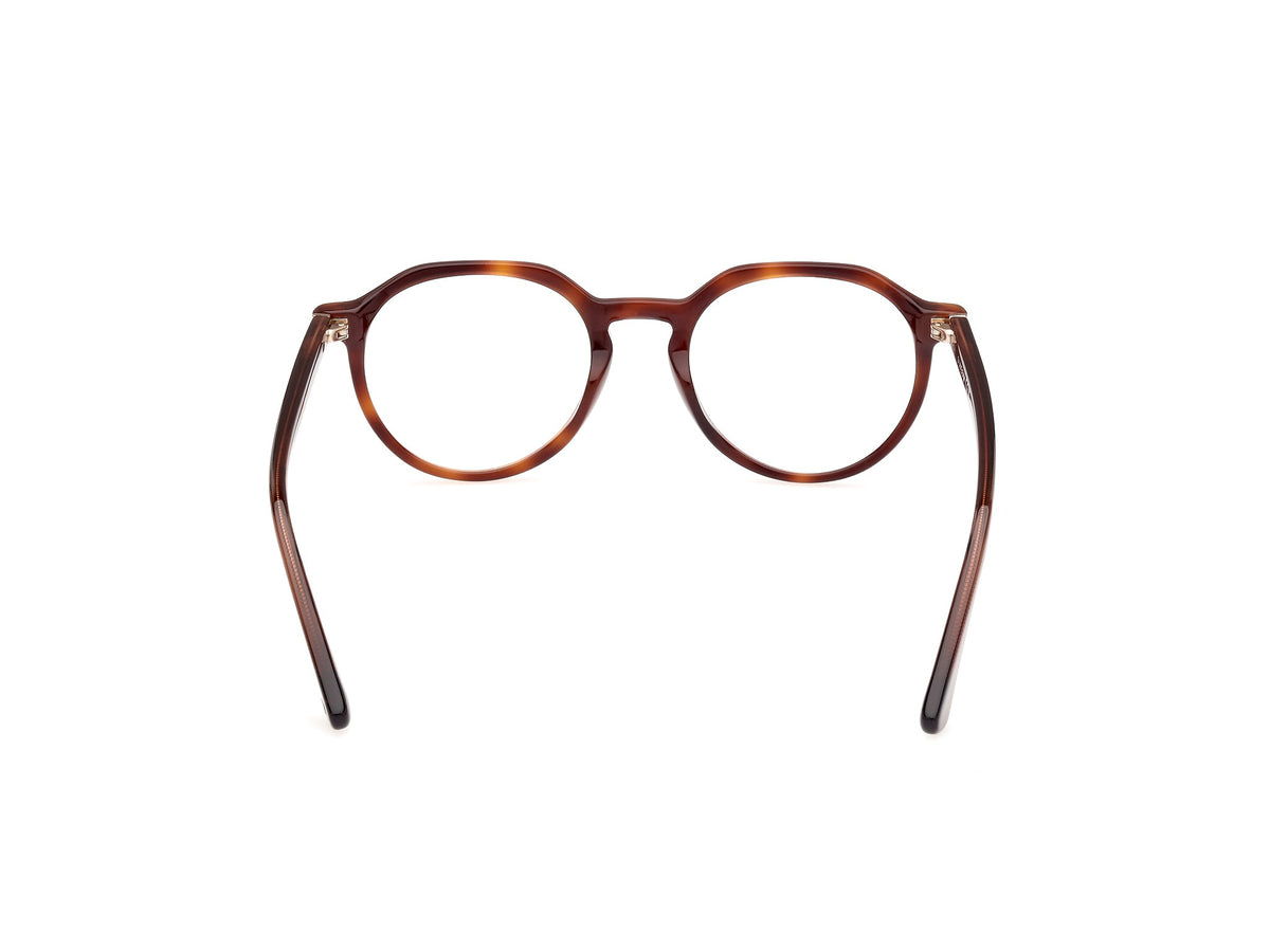 Gafas Graduadas Web WE5427 056 50 20