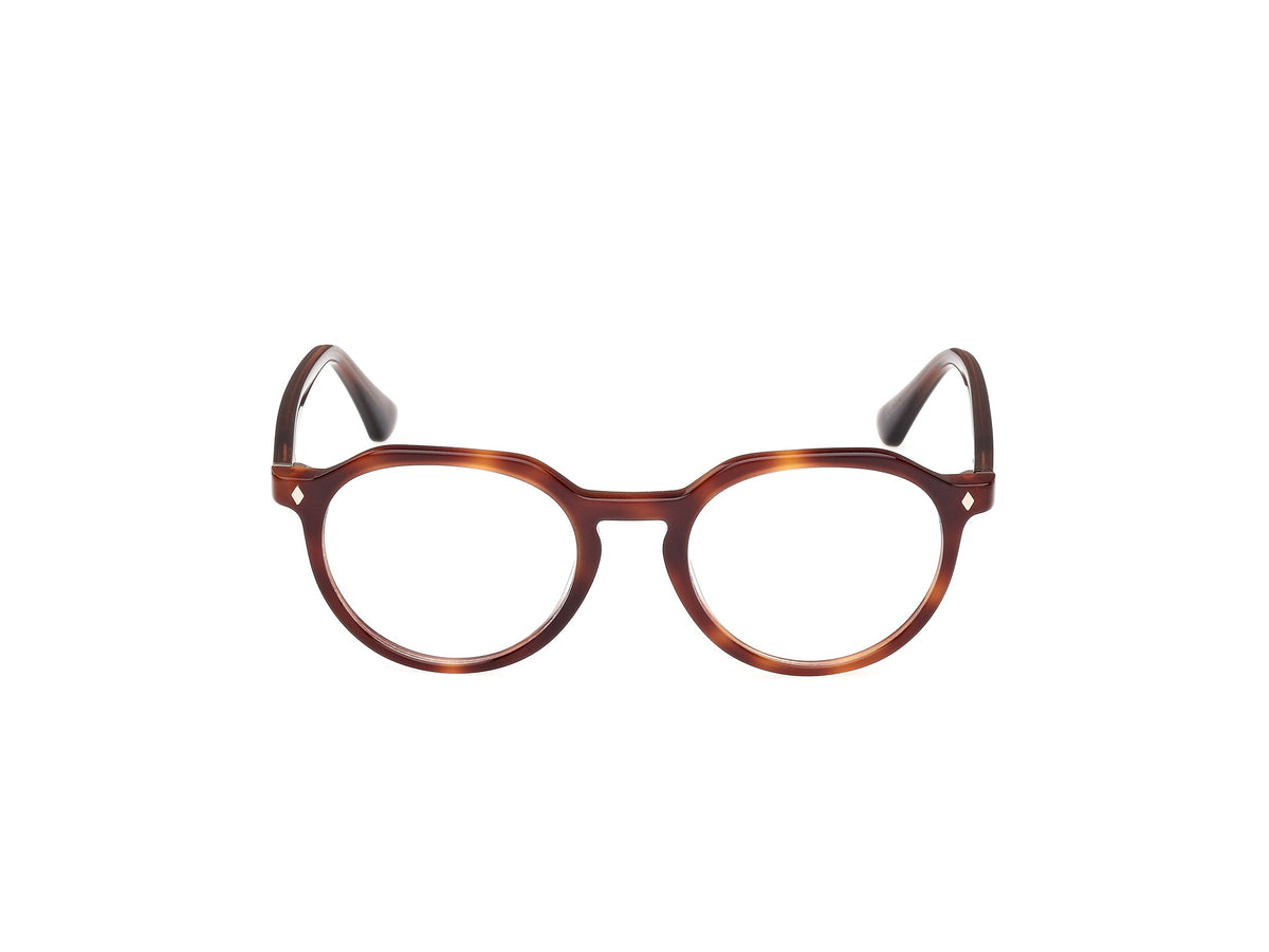 Gafas Graduadas Web WE5427 056 50 20