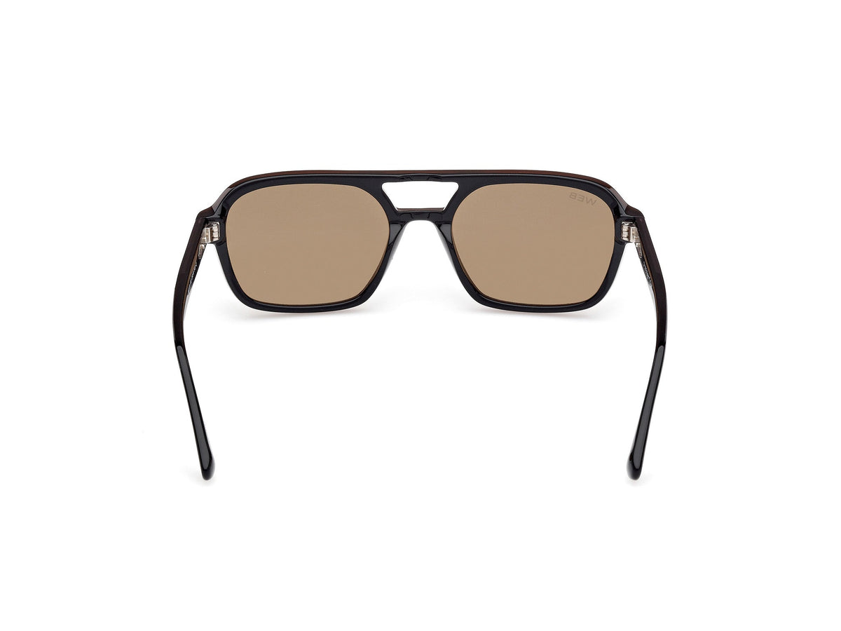 Gafas de Sol Web WE376 50E 55 19