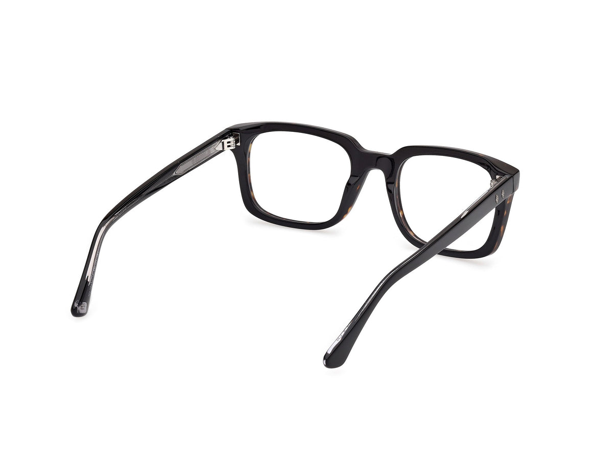 Gafas Graduadas Web WE5445 056 53 21