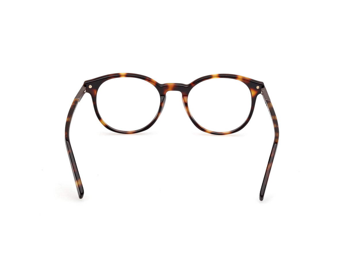 Prescription Glasses Zegna EZ5310 055 50 20