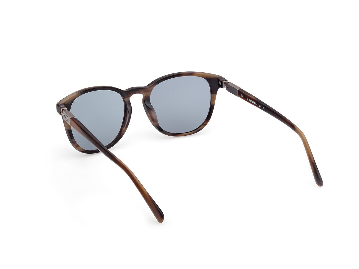 Gafas de Sol Harley-Davidson HD19 50L 53 19