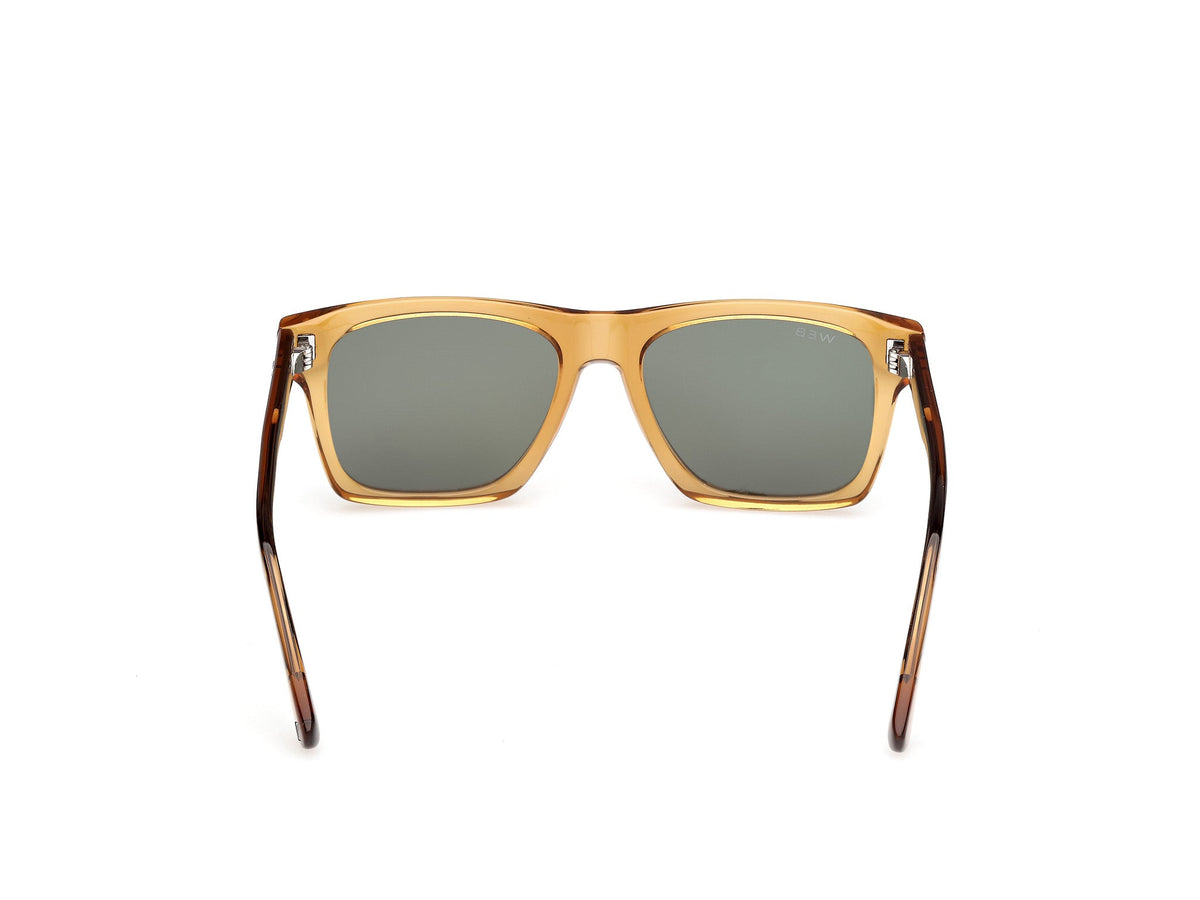 Sunglasses Web WE382 39N 55 17