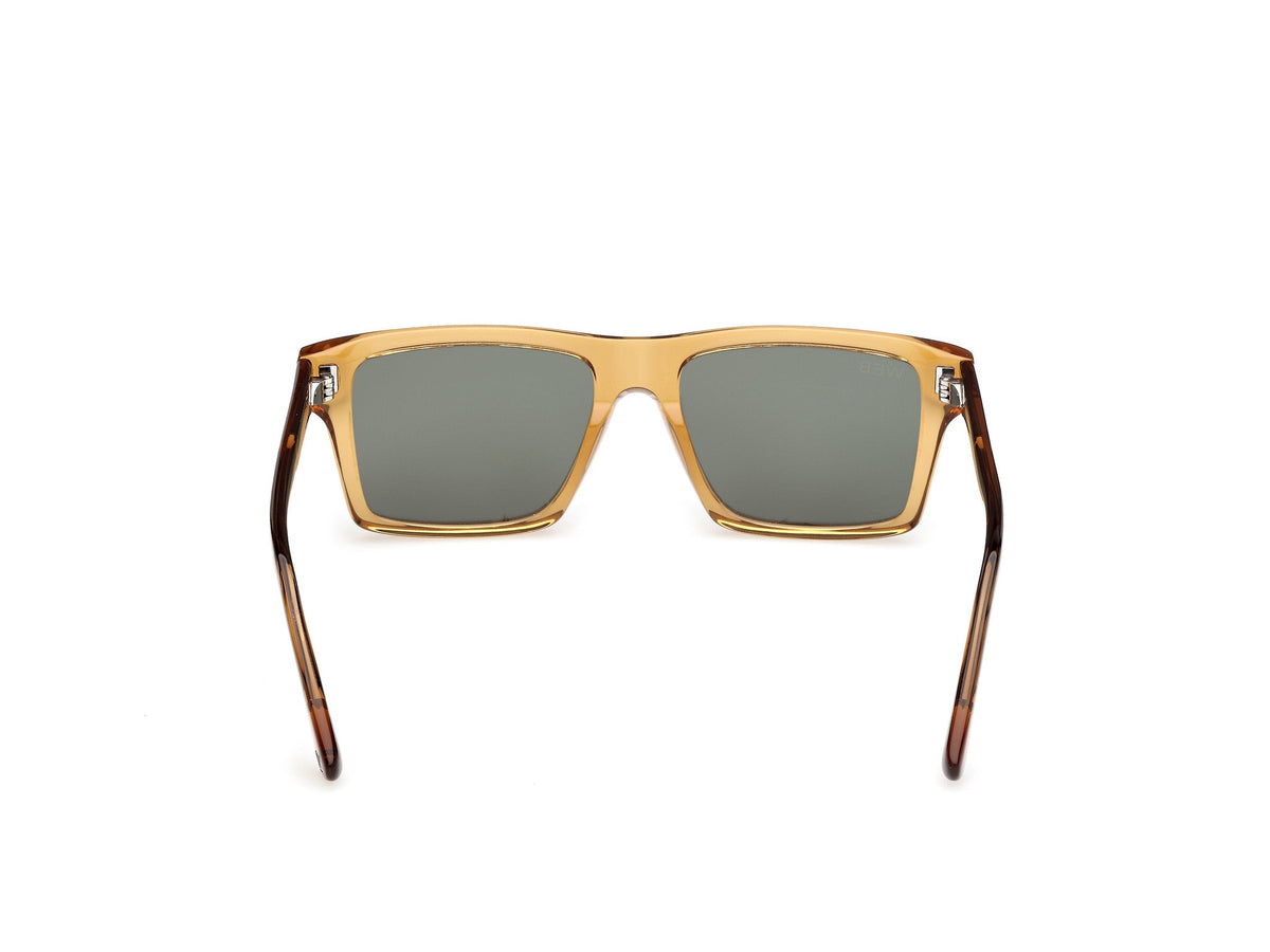Gafas de Sol Web WE383 39N 54 17