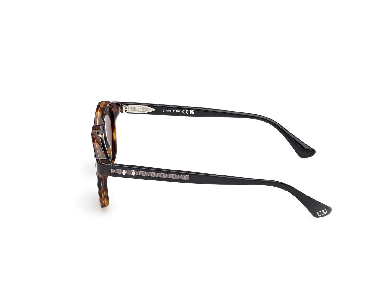 Gafas de Sol Web WE384 55N 48 22