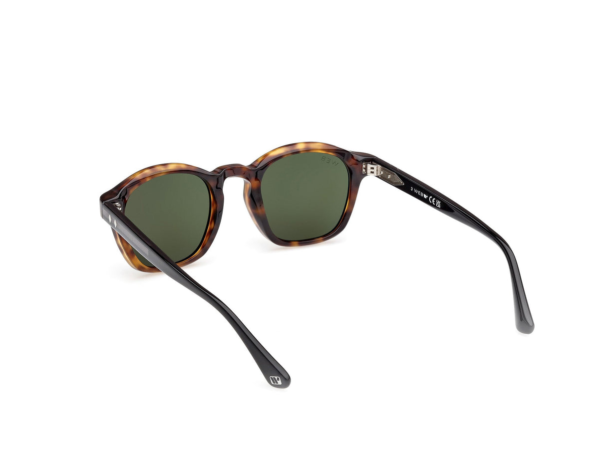 Sunglasses Web WE384 55N 48 22