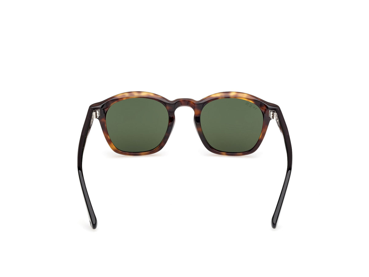 Sunglasses Web WE384 55N 48 22