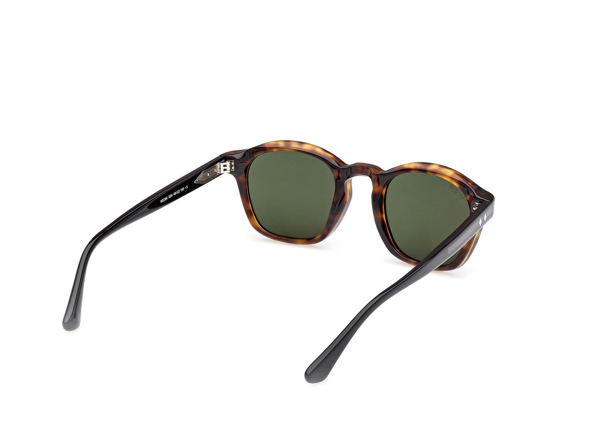 Sunglasses Web WE384 55N 48 22