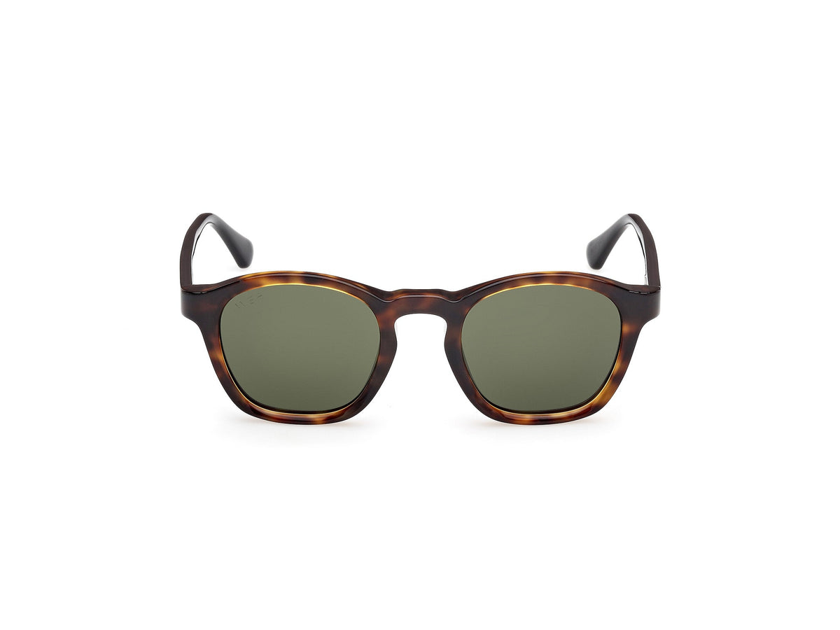 Sunglasses Web WE384 55N 48 22