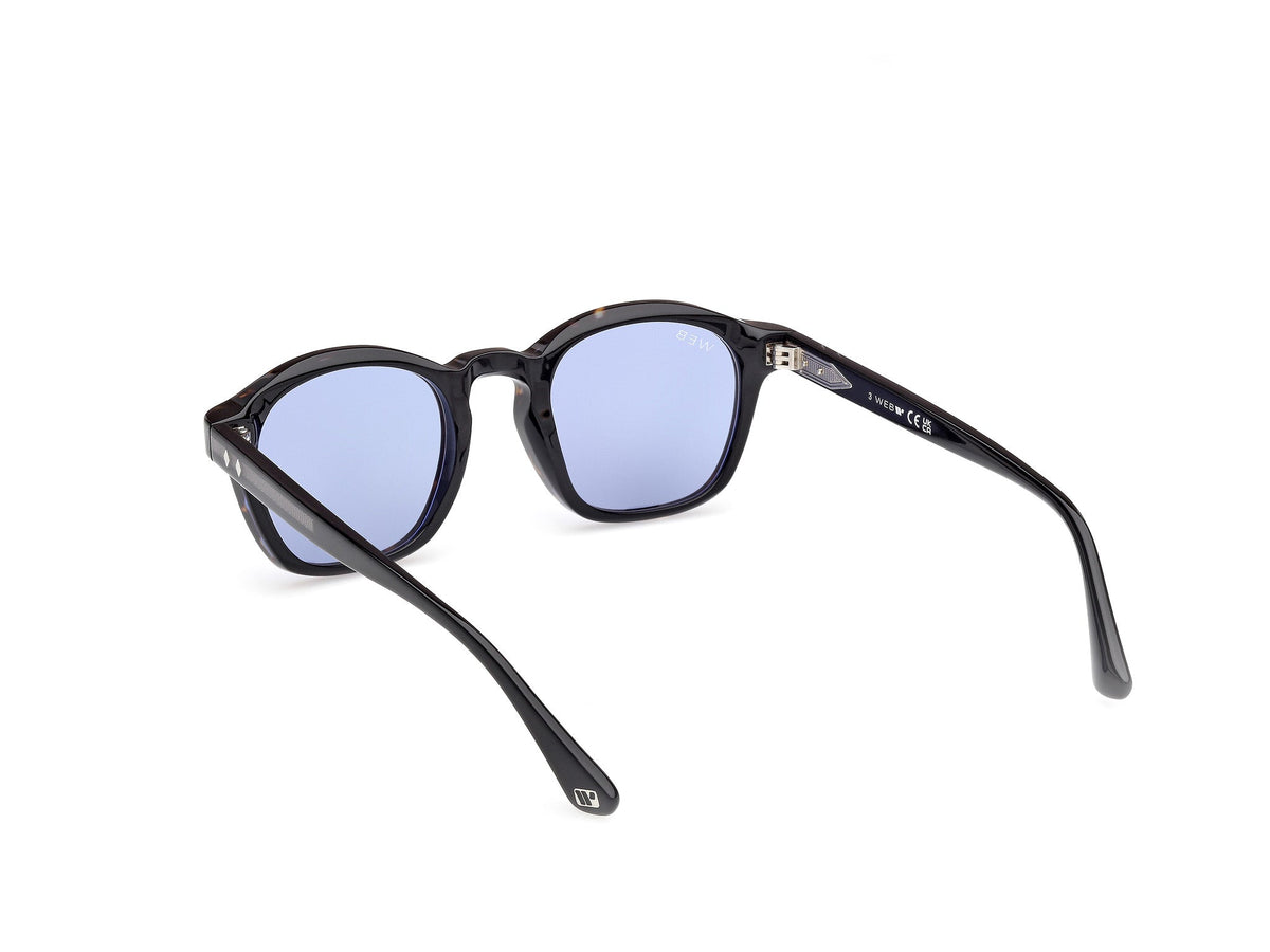 Sunglasses Web WE384 56V 48 22