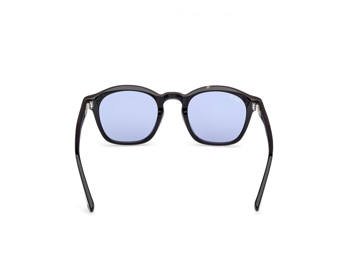 Sunglasses Web WE384 56V 48 22