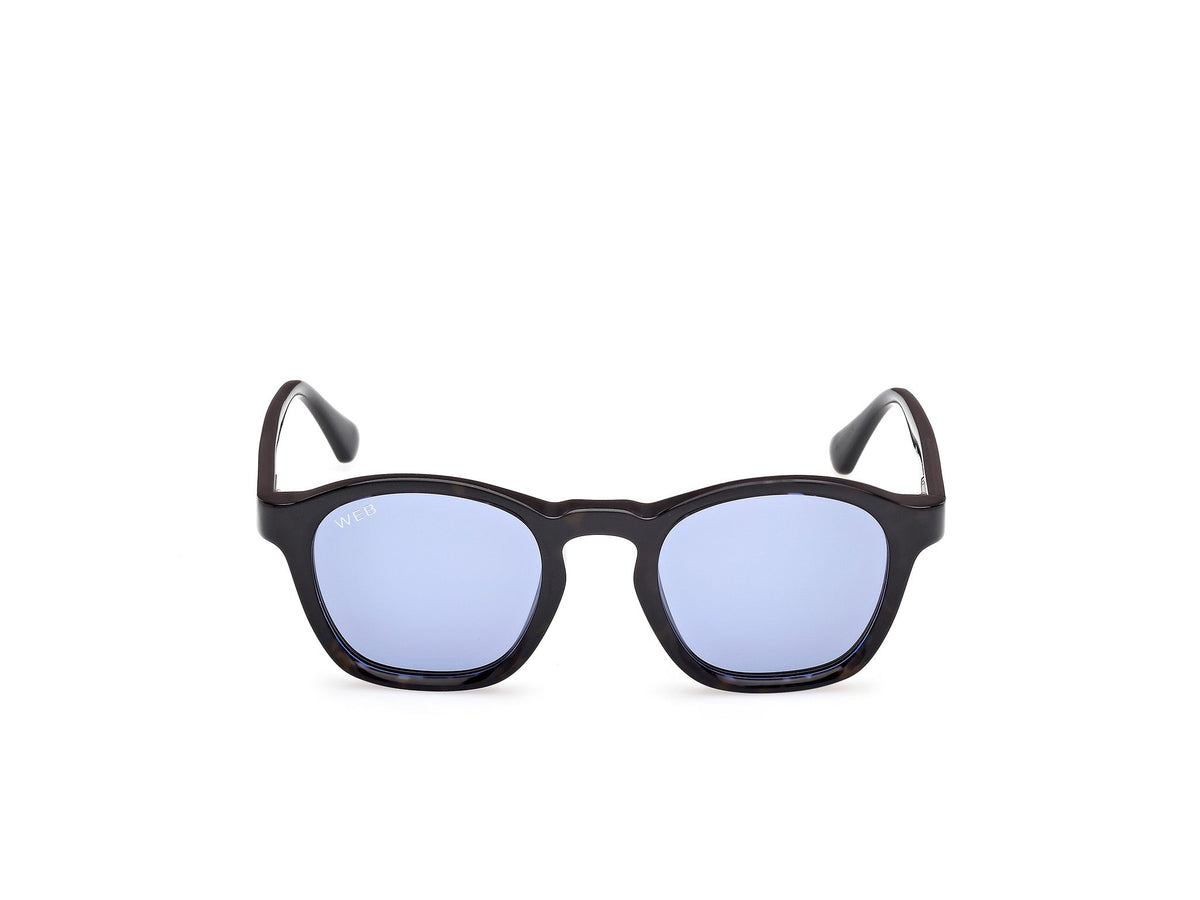 Sunglasses Web WE384 56V 48 22