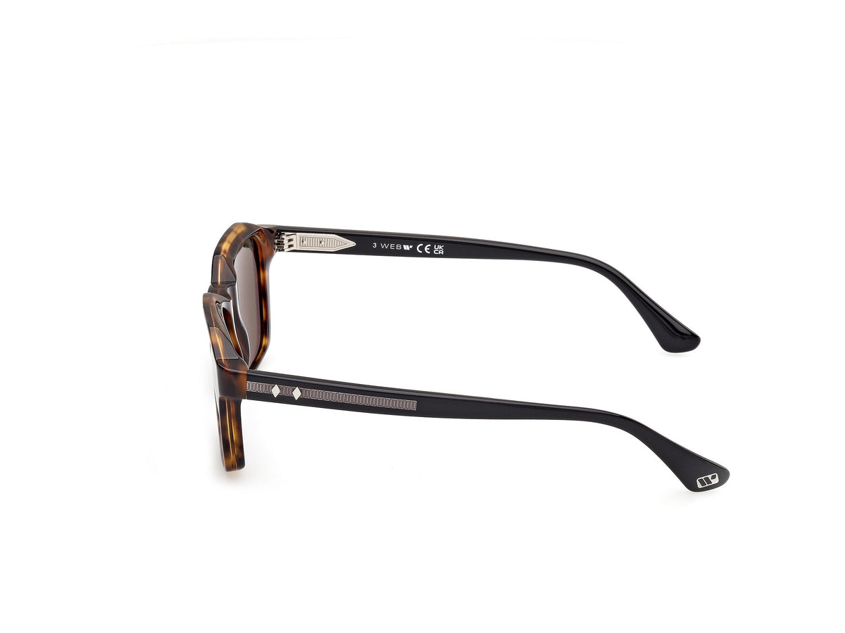 Gafas de Sol Web WE385 55N 52 19
