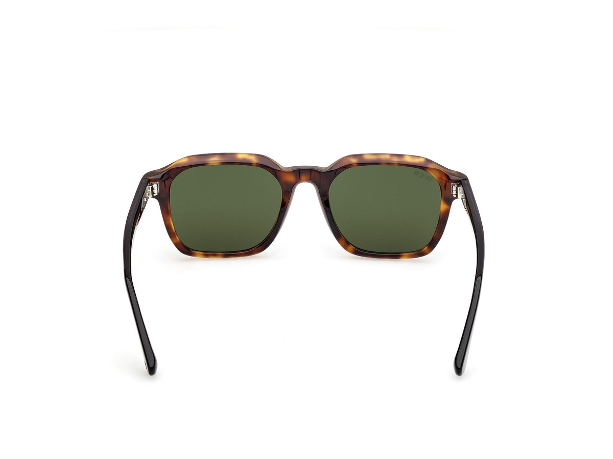 Gafas de Sol Web WE385 55N 52 19
