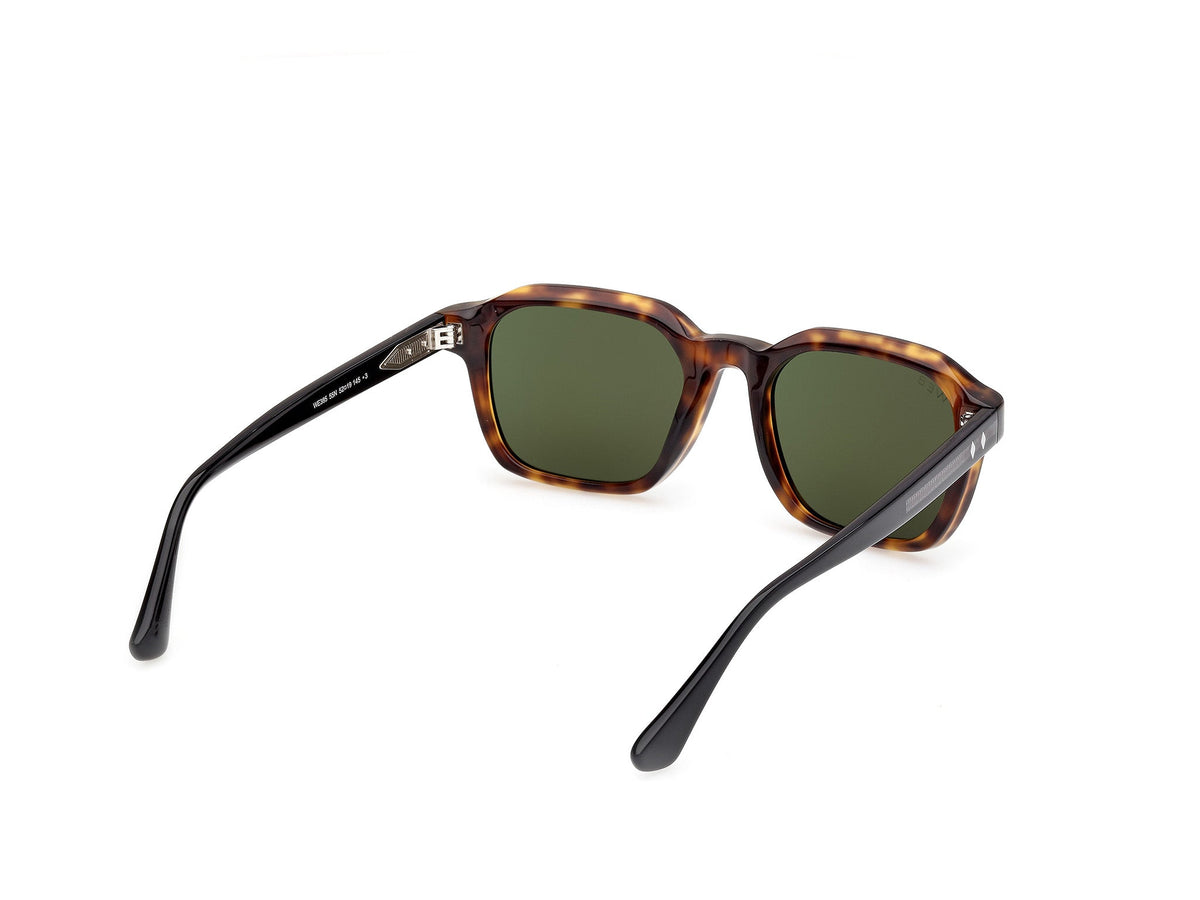 Gafas de Sol Web WE385 55N 52 19